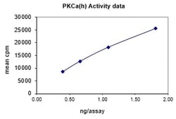 Eurofins DiscoverX PKC Protein, Active 250 &mu;g | Buy Online | Eurofins DiscoverX | Fisher Scientific